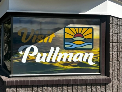 Window Graphics Photo